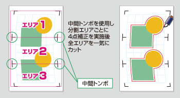 セグメントエリア補正